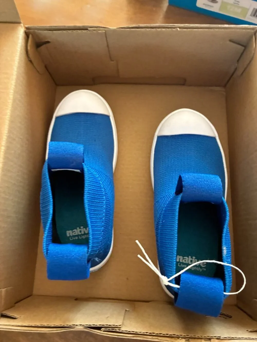 Native Jefferson Hydroknit Shoes
